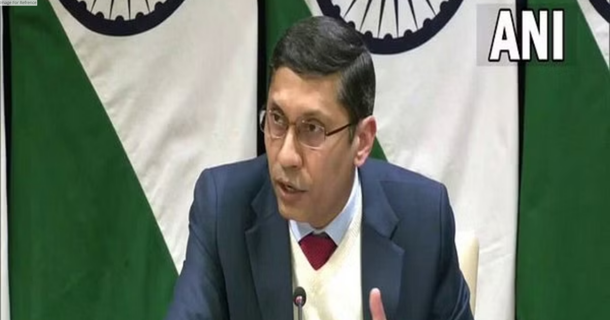 No reason to link deaths of three Russian nationals in India: MEA